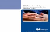 RCN Pain Knowledge and Skills Framework for the Nursing … · pain assessment, functional performance and medicines management. The IDT can help patients understand their pain-related
