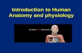 Introduction to Human Anatomy and physiologymgaughan-biology.weebly.com/uploads/1/1/0/3/110365537/...Anatomy and physiology An Overview of Anatomy Anatomy - The study of the structure