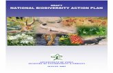 DRAFT NATIONAL BIODIVERSITY ACTION PLAN a suitable national action plan for promoting biodiversity conservation, ... endangered species of wild fauna and flora Convention on