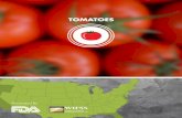 TOMATOES - Home | UC Davis Western Institute for … production of fresh market tomatoes. Principal tomato production regions are located in south Florida, central Florida (south of