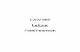 LAW 555 Labour Feth/Peterson - Cloud Object Storage · Labour Feth/Peterson . 2 Labour Law PART I ... Need intention to create legal relations, consideration, and offer and acceptance