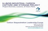 ILLINOIS INDUSTRIAL CARBON CAPTURE AND STORAGE … ·  · 2015-08-252011-08-24 · ILLINOIS INDUSTRIAL CARBON CAPTURE AND STORAGE PROJECT . Project Overview, ... • The Industrial