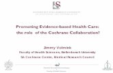 Promoting Evidence-based Health Care: the role of the ... · Fakulteit Gesondheidswetenskappe • Faculty of Health Sciences Promoting Evidence-based Health Care: the role of the