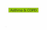 Asthma & COPD - Hadassah€¦ · -decreasing morbidity and related costs . 5 ... Asthma/COPD ICS -benefits •reduces airway hyper-responsiveness to various ... (ineffective for acute