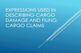 Expressions used in describing cargo damage and filing ...stominac/Expressions used in describing cargo... · TYPES OF CARGO Basically there ... For instance, timber dunnage from