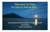 Presentation to the Friends of Bighorn Lake April 2014 ...€œHigh”: Channel catfish, sauger, and walleye from Big Horn, Boysen, Seminoe, and Pathfinder ... Microsoft PowerPoint