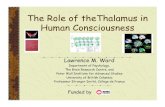 The Role of theThalamus in Human Consciousness · The Role of theThalamus in Human Consciousness ... Primary consciousness Searle: ... VS associated with either severe DAI or thalamic