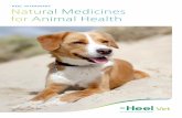 HEEL VETERINARY Natural Medicines for Animal Health€¦ · (the female sex hormone) ... naturally occurring concentrations in the body. ... we feel a great sense of responsibility