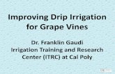 Improving Drip Irrigation for Grape Vines - … Drip Irrigation for Grape Vines ... Ensure that the flow from each of the ... Keep your hand on your wallet when
