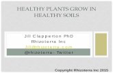 HEALTHY PLANTS GROW IN HEALTHY SOILScss.wsu.edu/oilseeds/files/2015/02/Clapperton_GenSess2015OSDS.pdfthe paddy, and you spent a lot ... Sunflower rooting depth reached 1.88 m (6.2