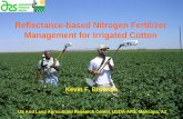 Reflectance-based Nitrogen Fertilizer Management … F. Bronson US Arid Land Agricultural Research Center, USDA-ARS, Maricopa, AZ Reflectance-based Nitrogen Fertilizer Management for
