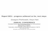 Report WG1 - progress achieved so far, next steps WG1 ANNUAL... ·  · 2016-06-03Report WG1 - progress achieved so far, next steps ... The horizontal range of the ... environmental