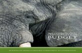 International Conservation Budget 2013 - Nature … Wildlife Fund. 4 | The International Conservation Budget ... and education, strong institutions, innovation, and new technologies.