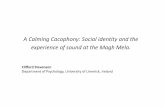 A Calming Cacophony: Social identity and the … · A Calming Cacophony: Social identity and the experience of sound at the MaghMela. Clifford Stevenson Department of Psychology,