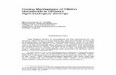 Coping Mechanisms of Filipino Households in … files/Publications/NAST...Coping Mechanisms of Filipino Households in Different Agro-Ecological Settings Nina Consorcia T. Castillo