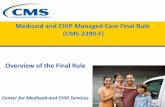 Medicaid and CHIP Managed Care Final Rule (CMS-2390 … · Medicaid and CHIP Managed Care Final Rule ... managed care plan for an enrollee, ... physicians and nursing facilities .