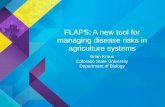FLAPS: A new tool for managing disease risks in …proceedings.esri.com/library/userconf/proc15/papers/651...• Spatial microsimulation model (linked with geospatial distribution