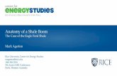 Anatomy of a Shale Boom - University of Western … of a Shale Boom The Case of the Eagle Ford Shale Mark Agerton Rice University, Center for Energy Studies magerton@rice.edu 16th