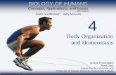 Body Organization and Homeostasis - Napa Valley College 10… ·  · 2015-09-18Body Organization and Homeostasis ... Provides support and protection for organs ... Cushion organs