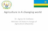 Agriculture in A changing worldsiteresources.worldbank.org/INTARD/Resources/kalibataPreston.pdf · Agriculture in A changing world ... •Rwanda alone loses 40 million Mt of soil