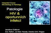 Integrated Course Microbiology & Pathology Patologie …pau.lf1.cuni.cz/file/5730/integr_HIV_oport_reduk.pdf · Integrated Course Microbiology & Pathology Patologie HIV & oportunních