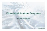 Fibre Modification Enzymes - TAPPSA · What are enzymes? •Each living cell contains thousands of different kinds of enzymes. •These enzymes do all of the work necessary for the