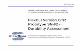 FlexPLI Version GTRFlexPLI Version GTR Prototype SN-02 ... · FlexPLI Version GTRFlexPLI Version GTR Prototype SN-02 - ... For detailed questions please refer to the author Mr Thomas