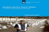 Analysis Poultry Sector Ghana - RVO.nl Poultry... · Analysis poultry sector Ghana ... The Dutch government supports CSR in international business and expects companies to