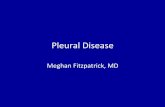 Pleural Disease - PACCM @ Pitt€¦ · Pleural Disease Meghan Fitzpatrick, MD Pleural Disease: ... glucose < 10, WBC = unobtainable; gram stain: many WBC ... suggestive of pus