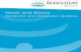 Water and Steam - honeymangroup.com Prospectus... · remove contaminants through steps including UV lamps, ... Steam Generator produces dry, ... qualification and commissioning activities