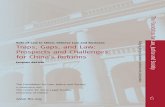 Traps, Gaps, and Law: Prospects and Challenges for China’s ...231... · Constitution, Taiwan under martial law, Korea under military dictatorship, Singapore under a single party-dominant
