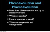 Microevolution and Macroevolution - Powering Silicon …€¦ · Microevolution and Macroevolution •How does Microevolution add up to macroevolution? •What are species? •How