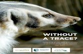 WITHOUT A TRACE? - David Suzuki Foundation · A report prepared by the David Suzuki Foundation, Ontario Nature and Ecojustice ... disappear without a trace. ... Vol 21 Issue 9, ...