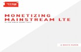 MONETIZING MAINSTREAM LTE - csgi.com€¦ · return on its technology investment? ... MONETIZING MAINSTREAM LTE — A CSG WHITE PAPER | 2. CSGI.COM In terms of revenue generation,