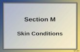 Section M Skin Conditions - Maine.gov 3.0...Section M Skin Conditions V1.01 Minimum Data Set (MDS) 3.0 Section M August 2010 2 Objectives • Review key components of pressure ulcer