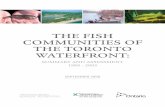 THE FISH COMMUNITIES OF THE TORONTO … OF THE TORONTO WATERFRONT: SUMMARY AND ASSESSMENT 1989 - 2005 SEPTEMBER 2008 ACKNOWLEDGMENTS The authors wish to thank the many technical staff,