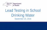 Lead Testing in School Drinking Water - NYSED can find information on lead testing in school drinking water related matters on their website: ... results of tests performed prior to