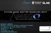 FUTURE DARK MATTER SEARCHES WITH - TeVPA … dark matter searches with manuel meyer, regina caputo, miguel sanchez-condÉ, on behalf of the amego team august 11, 2017 tevpa 2017
