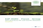 EIP-AGRI Focus Group - European Commission | Choose … ·  · 2015-10-15EIP-AGRI Focus Group IPM practices for soil-borne diseases FINAL REPORT OCTOBER 2015