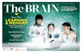 The BRAIN BRAIN INSTITUTE · The BRAIN BRAIN INSTITUTE ... with dyslexia, dyscalculia, dysgraphia, ADHD or ... MEMORY IS THE PROCESS OF ENCODING, STORING, AND