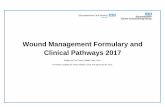 Wound Management Formulary and Clinical … Wound_Management...Wound Management Formulary and Clinical Pathways 2017 ... Burns Dressings 29-34 ... The below pathway is categorised