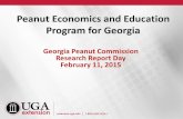 Peanut Economics and Education Program for Georgia€¦ ·  · 2015-03-05Peanut Economics and Education Program for Georgia Georgia Peanut Commission ... RETURN TO LAND AND MGT per