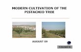 MODERN CULTIVATION OF THE PISTACHIO TREE · THE PISTACHIO TREE 5. ... 2,000 m2, laboratory, experimental farms 3. ... California for R&D&I. AUGUST 2009 6. 44.. THE PISTACHIO TREE