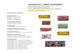 COUNTRY VIEW NURSERY€¦ ·  · 2018-02-14GOLDEN JAPANESE FOREST GRASS green stripes Imperata cylindra 'Red Baron' red JAPANESE BLOOD GRASS Liriope spicata green LILYTURF ... Rosa