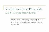 Visualization and PCA with Gene Expression Data · Visualization and PCA with Gene Expression Data ... l of the data [so XT ≈ expression set matrix] ... exploratory data analysis