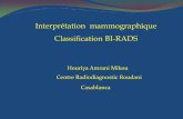 Interprétation mammographique Classification BI …crr.ma/wp-content/uploads/2013/08/Interpretation-mammo...définition Lexique publié par l’American ollège of Radiology = ACR