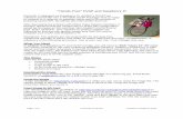 “Hands-Free” DVAP and Raspberry Pi - VE6CPKve6cpk.com/wildrosenetwork/pdf/DVAP-RPI-rev1c.pdf · “Hands-Free” DVAP and Raspberry Pi Page 1 of 4 DVAP-RPI-rev1b.doc Created on