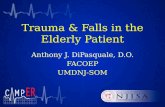Trauma & Falls in the Elderly Patient€¦ · PPT file · Web view · 2012-09-06Trauma & Falls in the Elderly Patient. ... neck pain and is found is have a quadriparesis with significantly