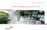 CFO Budgeting Survey - PwC accuracy remains an area of improvement ... sWU sWULEXWo wh h aa industry being the overwhelming majority, (broken down into banks: 17%, insurance companies:
