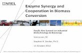 Enzyme Synergy and Cooperation in Biomass Conversion R. Decker, Ph.D. 11 October 2012 2 Problems in Biomass Enzyme Synergy • “Real” substrates are highly variable o Different